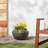 Myrie Pot Planter-1851755110-1851755104
