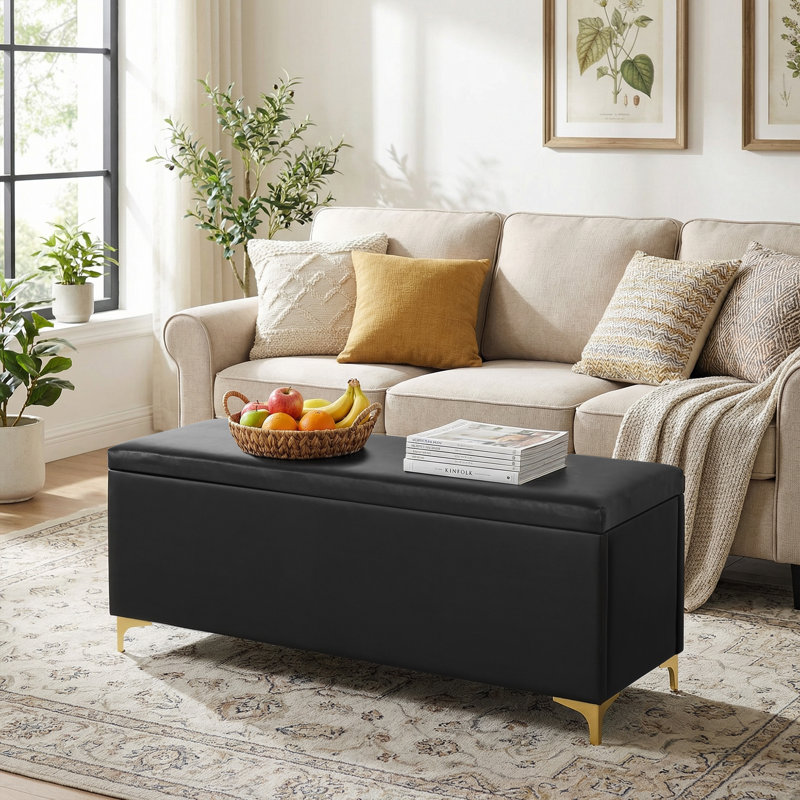 Banc de rangement moderne avec repose-pieds noir