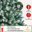 Fir Christmas Tree-1037327394