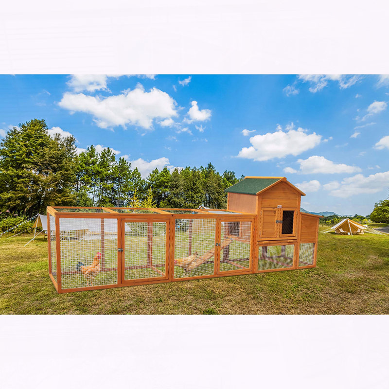 Grand poulailler en bois avec enclos pour 5 à 10 poules