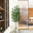 Adcock Faux Ficus Tree in White Planter-1140486949