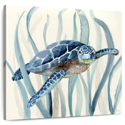 Ronce de tortue en ruppie maritime I