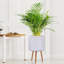 Dotted Style Cylinder Planter with Feet-901821042-901821045