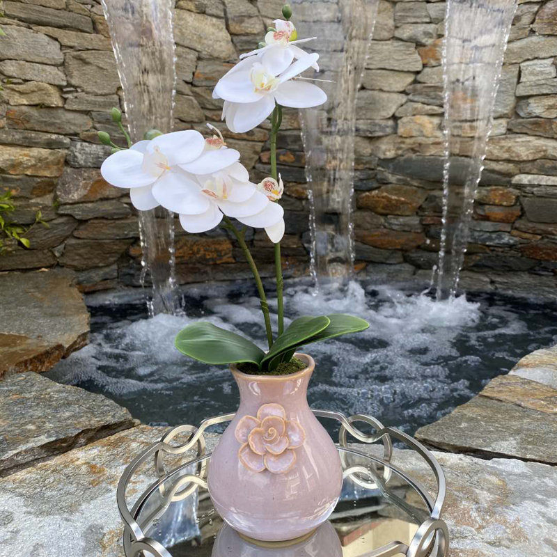 Orchid Arrangement in Vase