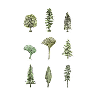 Collection de pins II