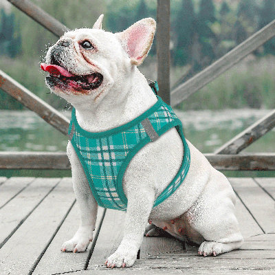 Gesemyer Adjustable No-Pull Mesh Dog Harness with Leash Breathable Reflective Pet Vest for Comfortable and Safe Walking