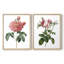 «Botanical Beauty III», reproduction encadrée de qualité supérieure - prête à être accrochée - aucun clou requis - aucun clou requis-780071511-780071469