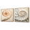 Cuivre à courbes en cuivre - Spirale Nautilus - animaux, ensemble de 2 collages carrés
