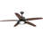 Montague 60'' Ceiling Fan with LED Lights-26209963