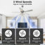 52" Beedle 5 - Blade 2-Tier Crystal Ceiling Fan with Remote Control and Light Kit Included