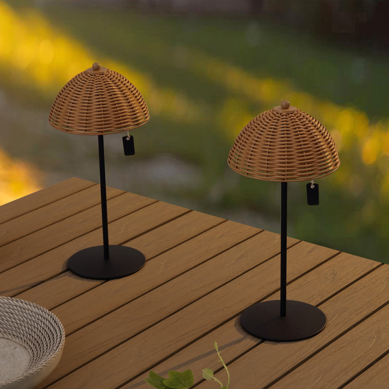 Lampe de table à DEL intégrée et d'extérieur à intensité variable de 12,75 po Tilly