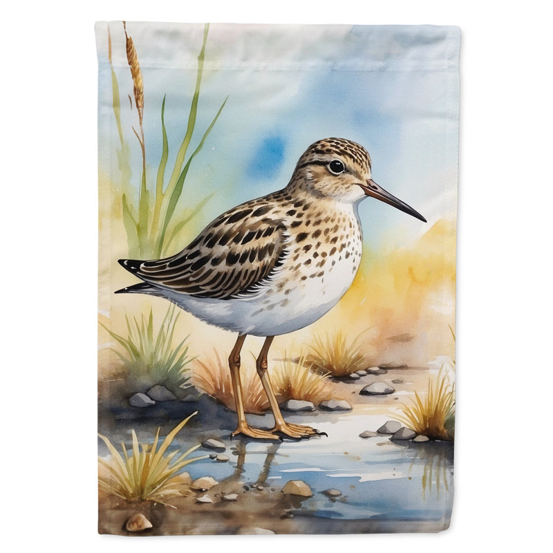 Drapeau de jardin Surfbird Bird, Bécasseau pectorale
