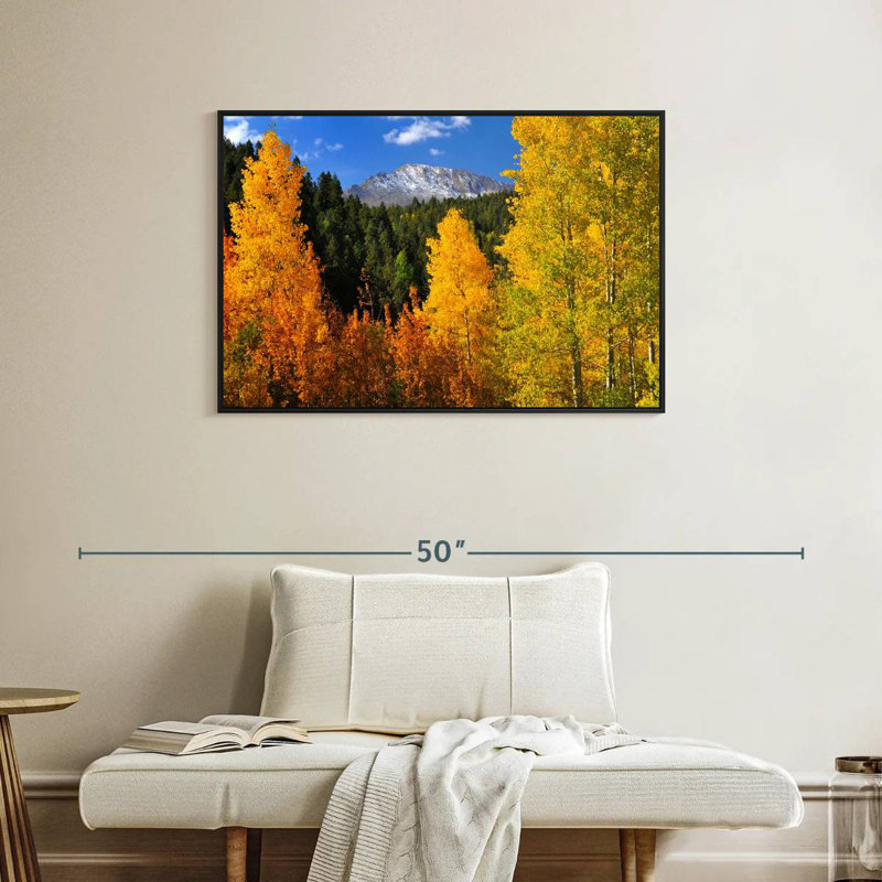 Pikes Peak en automne, Cadre flottant noir, 37 po x 25 po