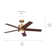 Bhram 48'' Ceiling Fan with LED Lights