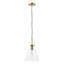 1 - Light Brushed Brass Pendant