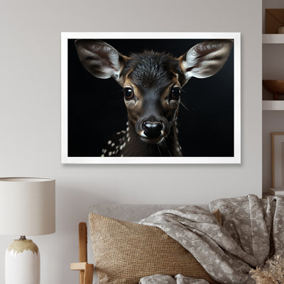 Black And White Deer Portrait - Deer Wall Decor
