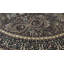 Wool Oriental Area Rug in Burgundy/Brown
