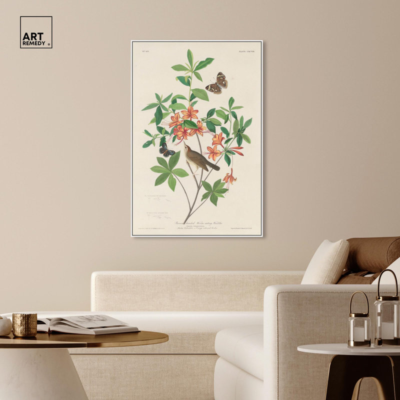 Art Remedy, reproduction d'art sur toile, paruline mangeuse de vers 1834, H 55 po x l 37 po, Cadre flottant blanc