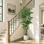 Ficus artificiel de 6 pi dans un pot à fleurs rond blanc avec flocage vert-1126529988