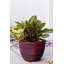 Pot à fleurs Nil-1298637459