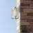 Wall Light-1756342827