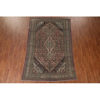 Distressed  Traditional Area Rug 6x10