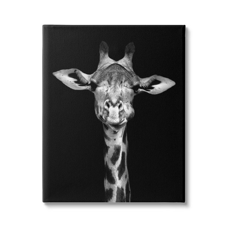 "Greyscale Zebra Stripes", photographie détaillée par Incado - impression, Toile tendue, H 20 po x l 16 po x P 1,5 po