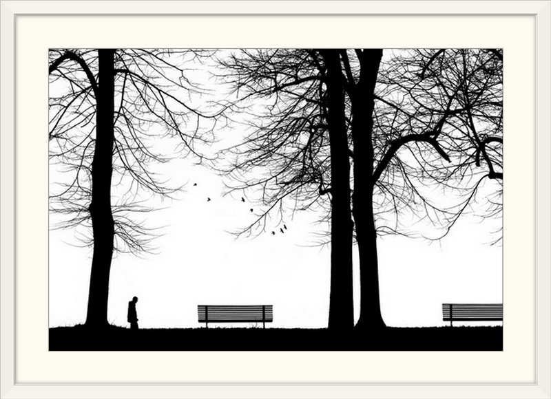 «Bancs et arbres» de Straub par Massimo Della Latta, reproduction de photo, Cadre blanc, H 24 po x l 32 po x P 1 po