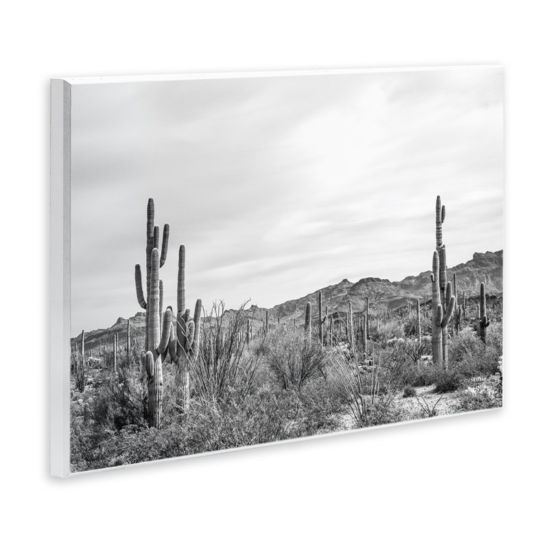 Art mural Sonoran Desert Wonderland par Nathan Larson, H 10 po x l 15 po