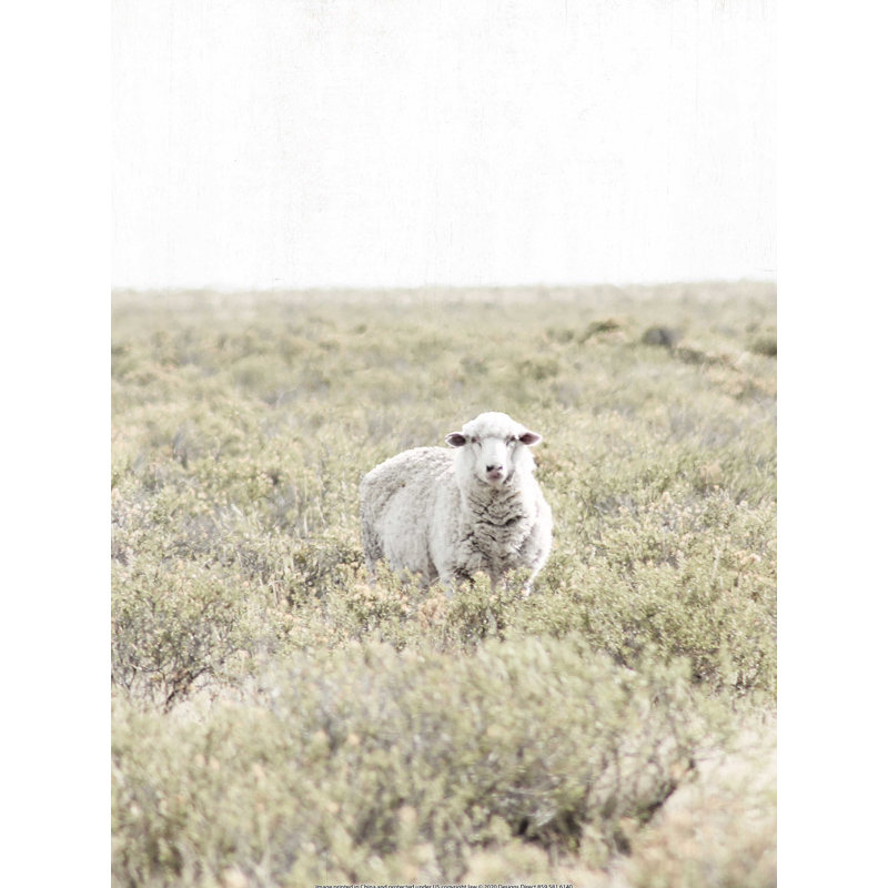 Mouton dans un champ, H 16 po x l 12 po