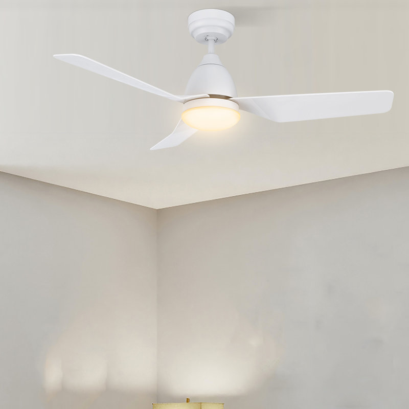 Raenah 44'' Ceiling Fan with LED Lights