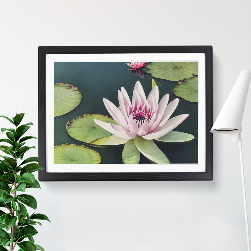 Angelical Water Lily Flowers - Single Picture Frame Print, 34cm H x 46cm W x 2cm D, Black Framed