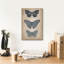 «Epic Graffiti« Vintage Butterflies Trio 1 »par Art Licensing Studio, art mural sur toile, 12 po x 18 po
