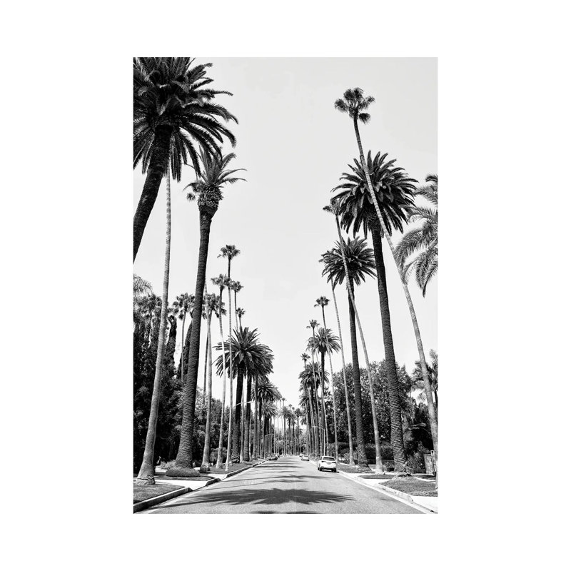 Beverly Hills Palm Alley II by Philippe Hugonnard - Wrapped Canvas Print, 20.32 cm H x 30.48 cm W