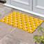 Aasif Non-Slip Doormat