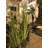 99cm Flowering Tree in Metal Planter