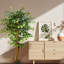 150 cm H Faux Plant