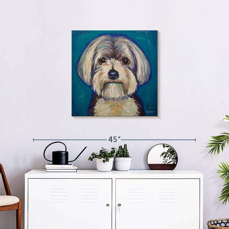 Crowle Maltese Yorkie