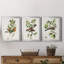 Oiseau antique, botanique et œuf I - ensemble de 3 peintures sur toile encadrées-1128397841-1128397840