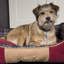 Highland Polyester Pet Bed-1641101580-1641101578