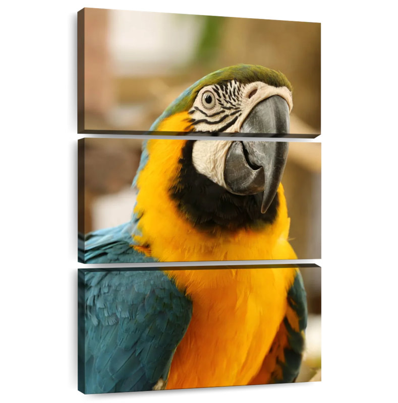Brampt Exotic Macaw, 32" H x 20" W