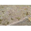 Floral Area Rug