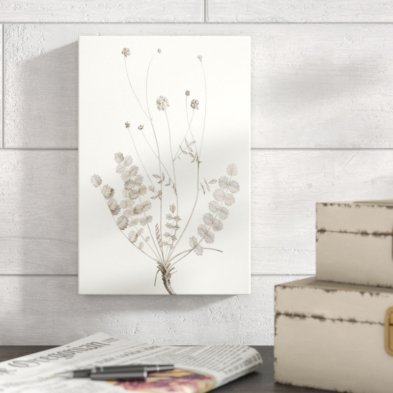 Neutral Botanical Study IX by Vision Studio - Painting Print, 30cm H x 20cm W, Wrapped Canvas