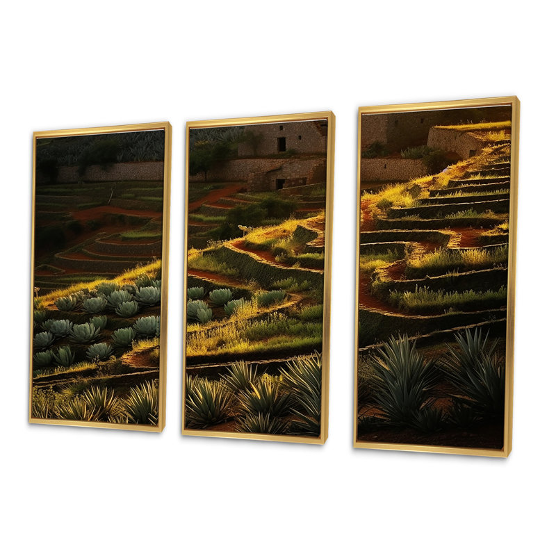 «Succulent Sunset Field In Texas I», ensemble de reproductions d'art mural, Cadre flottant doré, H 32 po x l 48 po x P 1 po