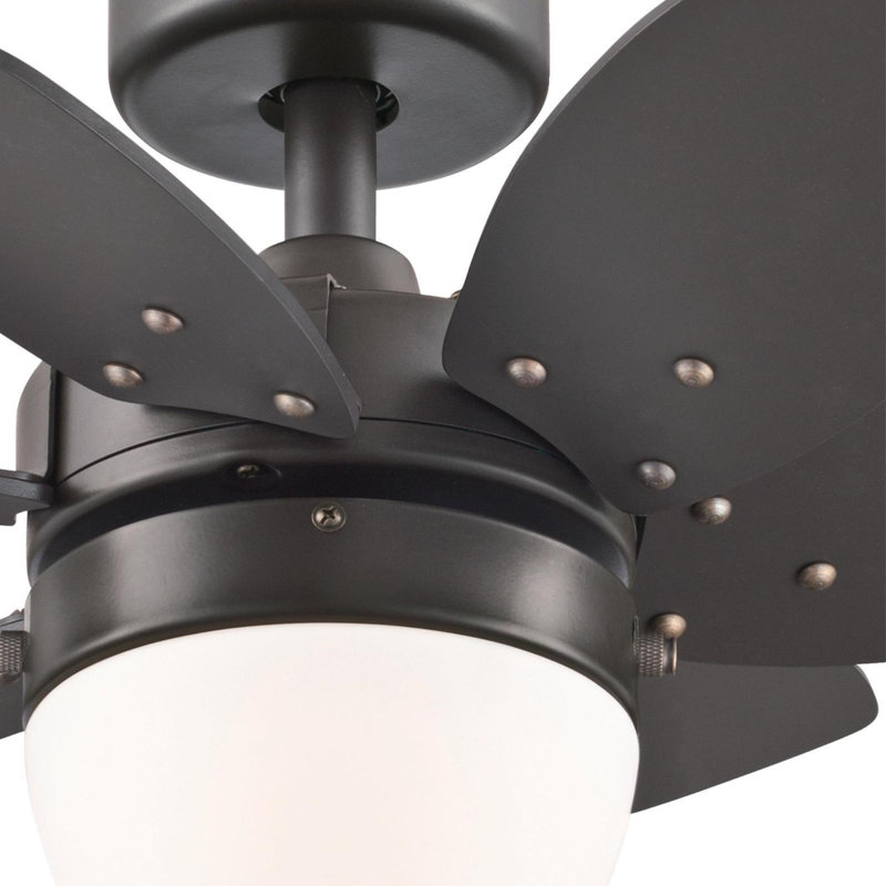 Ventilateur de plafond 24 pales à 6 pales 24 po avec chaîne de traction et ensemble d'éclairage inclus