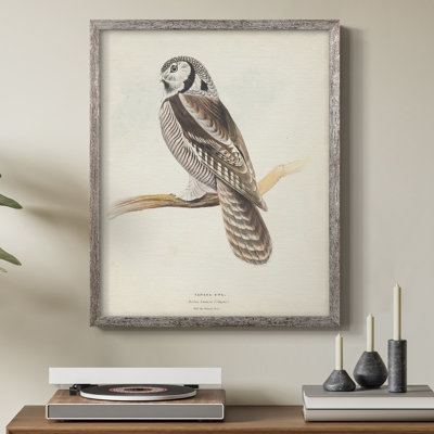 Canada Owl Framed Print - Solid Wood