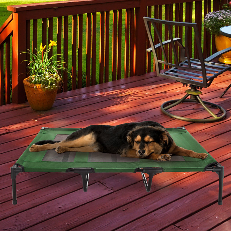 Lit pour chien surélevé portable avec caisse de transport PETMAker, Très grand (l 48 po x P 36 po x H 9 po), Vert