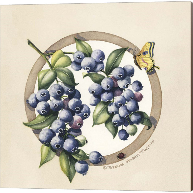 «Blackberries, Blueberries, Cranberries & Gooseberries» par Brenda Tustian, art sur toile (ensemble de 4)