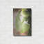 «Sprouting Ginkgo III» par Debra Van Swearingen-175410445