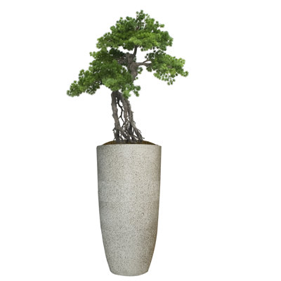 Panama Faux Bonsai Tree in Fiberstone Planter